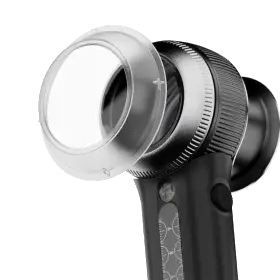 IceCap for DL5, 25-pack.